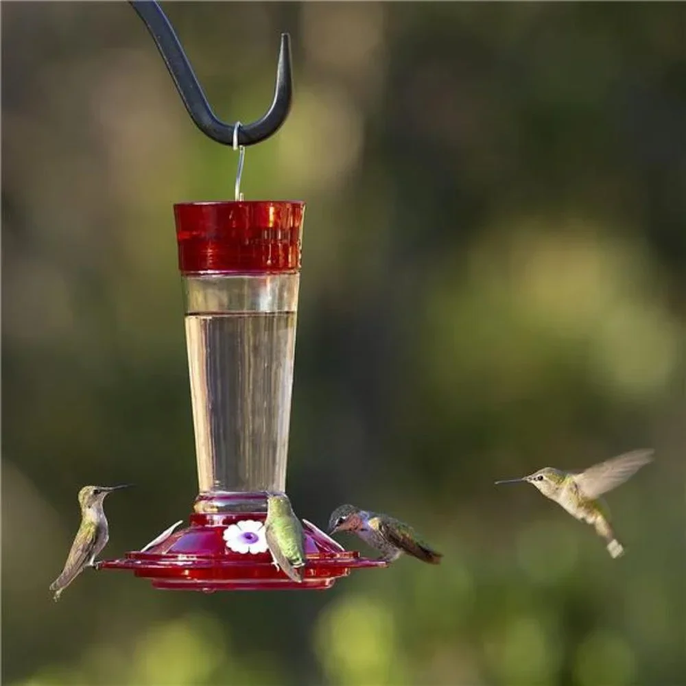 Bird Health+ Ruby Hummingbird Feeder, Glass Hummingbird Feeders for Outdoors